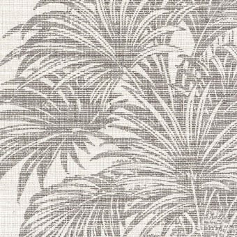 Carta da parati Amazzonia
