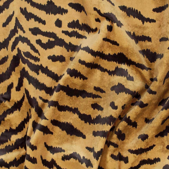 Tigre Velvet