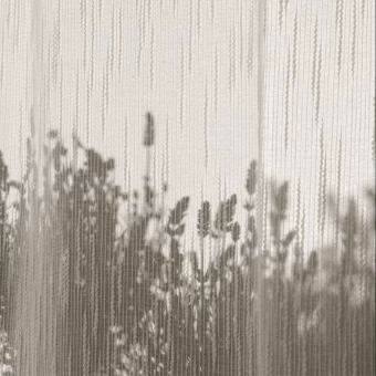 Voile Scriba