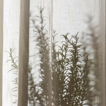 Voile Kajal