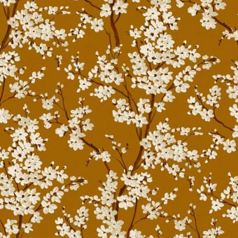 Papier peint Cherry Blossom