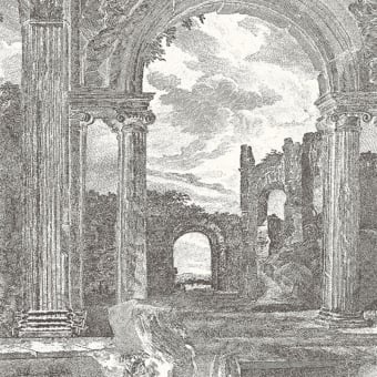 Carta da parati panoramica Rovine