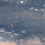 Echo panoramic wallpaper Les Dominotiers Marine DOM6010