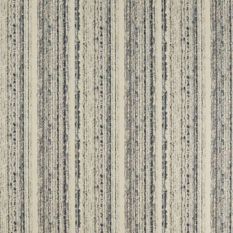Striatus-Gewebe