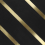 1 box 0.64 m&sup2; - Golden Line cement tile De Tegel Mousey /CP/GOLDENLINESBLACK/2020
