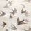 Tapete Chimney Swallows John Derian Dawn /PJD6003/04