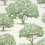 Tapete Magnolia Blossom Little Greene Hopper magnolia-blossom-hopper