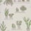 Carta da parati Mr Straw's Greenhouse Little Greene Slaked Lime mr-straws-greenhouse-slaked-ime