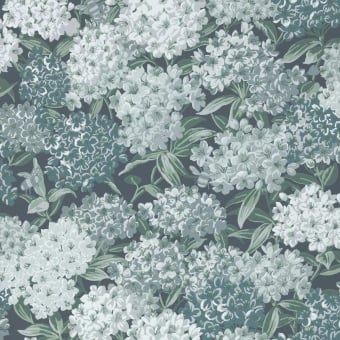 Rhododendron Walk wallpaper