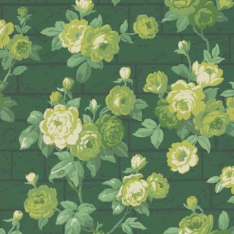 Papier peint Rose Garden