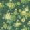 Rose Garden wallpaper Little Greene Puck rose-garden-puck