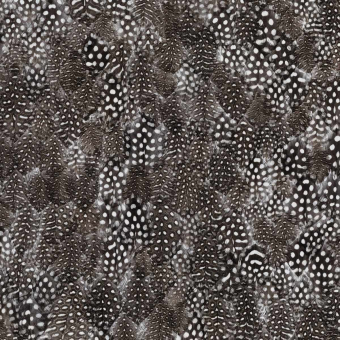 Carta da parati panoramica Plumes Pointillisme