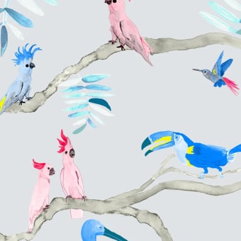 Pantanal wallpaper