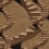 Tapete Scala Bien Fait Wood PB00211