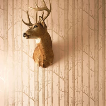 Woods Wallpaper