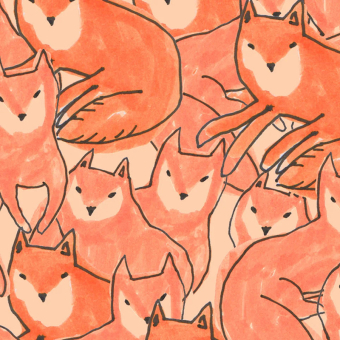 Fox Croud wallpaper