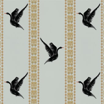 Black Swan wallpaper