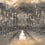 Carta da parati panoramica Harry Potter 320 Londonart Réglisse WBHP320-2