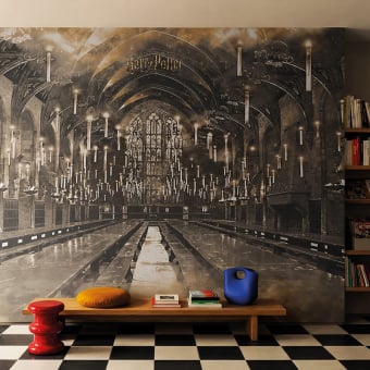 Papier peint panoramique Harry Potter 320