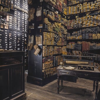 Carta da parati panoramica Harry Potter 322