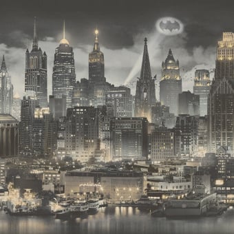 Carta da parati panoramica DC Universe 501