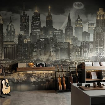 Papier peint panoramique DC Universe 501