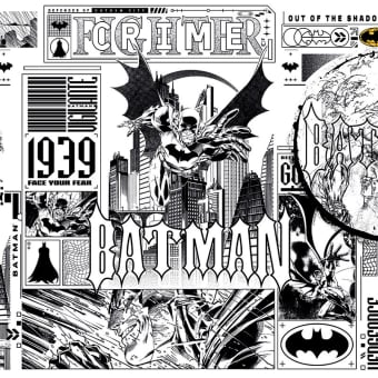 Papier peint panoramique DC Universe 510