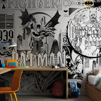 Papier peint panoramique DC Universe 510
