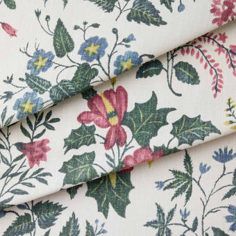 Tissu Loddiges