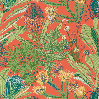 Papier peint Protea
