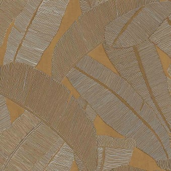 Banyan wallpaper