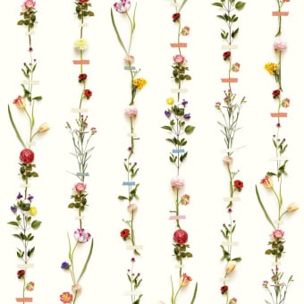 Carta da parati panoramica Flower Garland