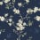 Papier peint Hanami Trail Initiales Night Sky CH30202