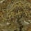 Papier peint Hanae Trees Initiales Caramel CH30506