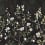 Kaiyu Dogwood Mural panoramic wallpaper Initiales Carbon CH32000M