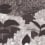 East Coast panoramic wallpaper Isidore Leroy Gris 6270722