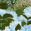 East Coast panoramic wallpaper Isidore Leroy Ciel east-coast-ciel