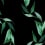 Carta da parati panoramica Bamboo Bien Fait Black B00289