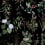 Panorama-Tapete Florilege Bien Fait Black B00302