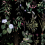 Papier peint panoramique Florilege Bien Fait Black B00302