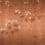 Panorama-Tapete Summer Chocolate Wall&dec&ograve; Ocre WDSC2601