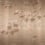 Summer Chocolate panoramic wallpaper Wall&dec&ograve; Beige WDSC2602