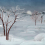 White Night Symphony panoramic wallpaper Les Dominotiers Marmara DOM5121