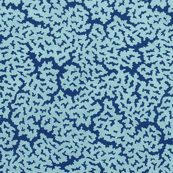 Maldives Fabric