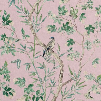 Claire Fabric