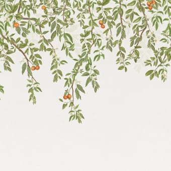 Panoramic wallpaper Douceur d'agrumes, vinyl