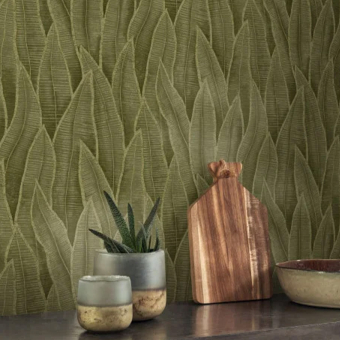 Tapete Sansevieria