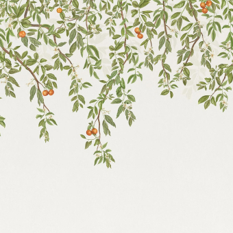 Papel pintado panorámico Douceur d'agrumes no tejido