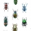 Carta da parati Coleoptera Curious Collections Multicolore CC_MLE_10219