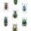 Coleoptera Wallpaper Curious Collections Multicolore CC_MLE_10219